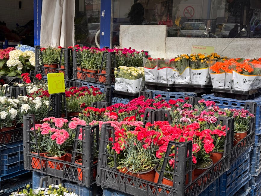 An outdoor display of potted carnations in various shades of pink, red, and white arranged in black plastic crates; additional potted flowers in white and orange hues, wrapped in decorative paper, are