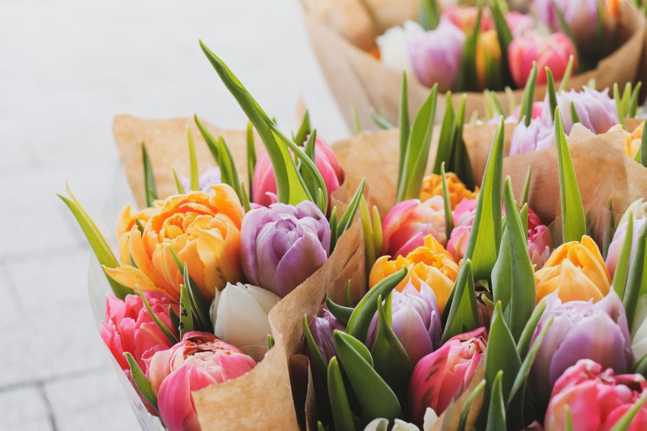A vibrant bouquet of fresh tulips arranged in a natural, loosely styled floral grouping. The bouquet features tulips in a variety of colors, including soft pink, lavender, bright orange, and creamy wh